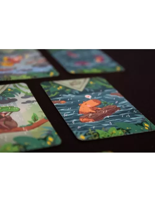 Diluvio cartes 2