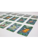 Diluvio cartes 3