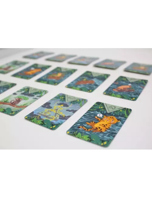 Diluvio cartes 3