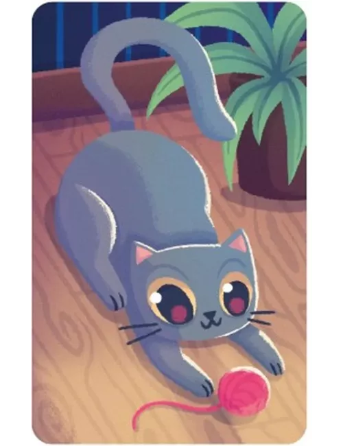 3 P'tits Chats cartes 4