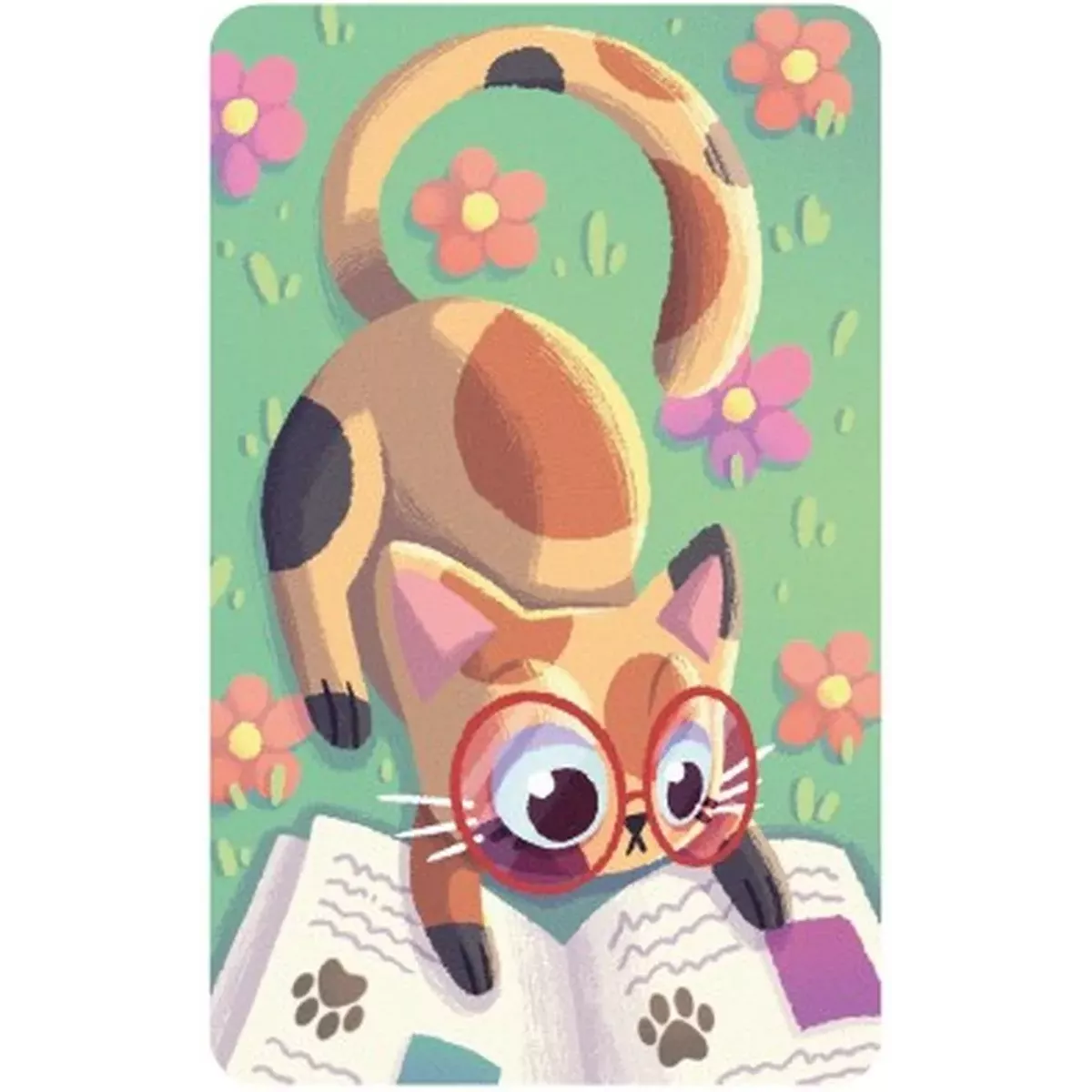 3 P'tits Chats - Jeu de société - Jeux FK - Ludum.fr