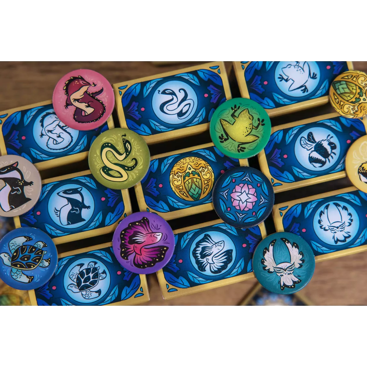 Cocoons exemple 1