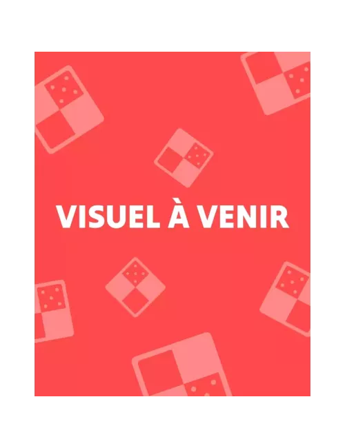 Retour à la Tour Sombre : Le Jeu de Rôle - Guide du Monde Connu