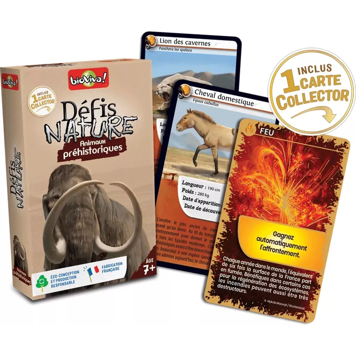 Défis Nature - Animaux : Animaux préhistoriques 