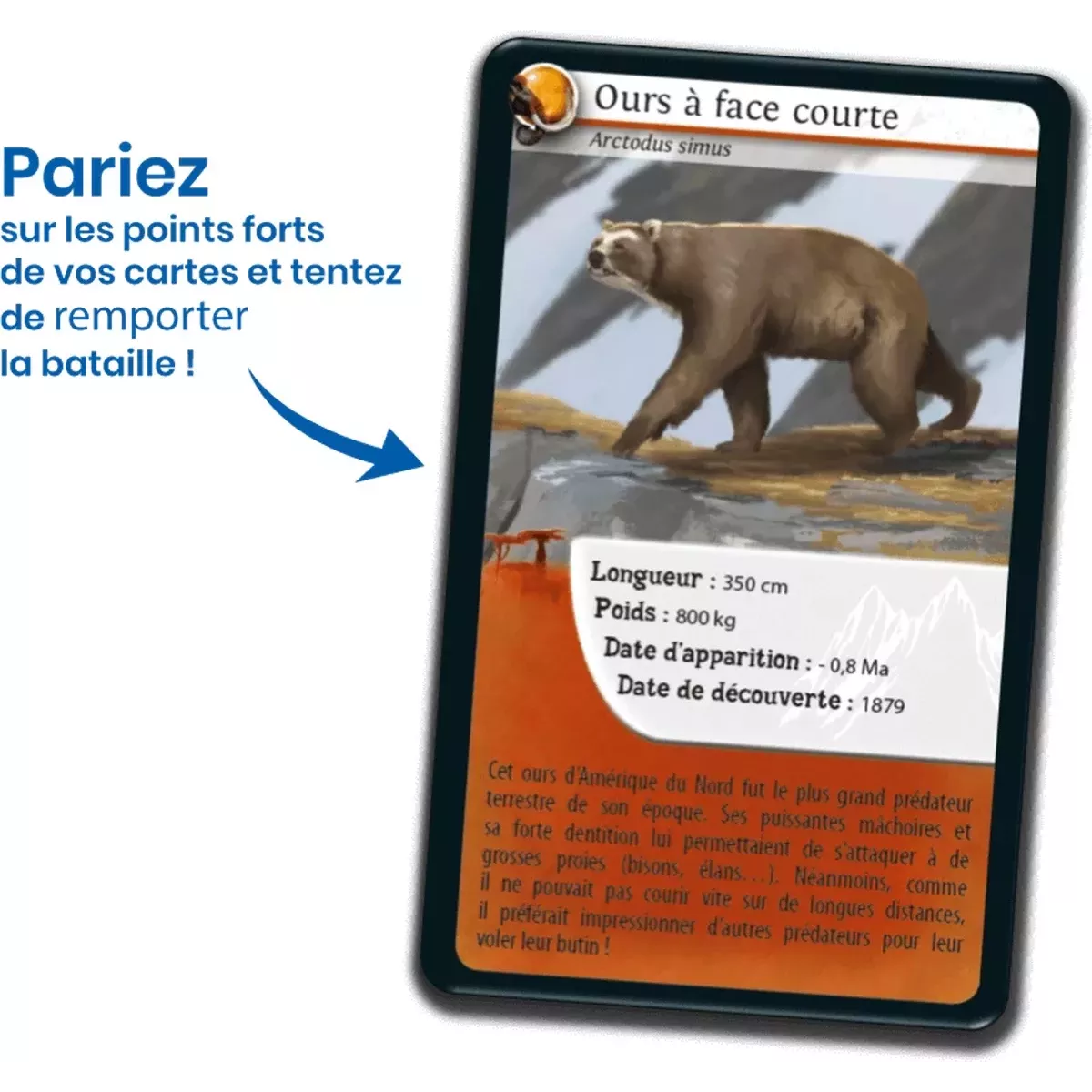 Défis Nature - Animaux : Animaux préhistoriques 