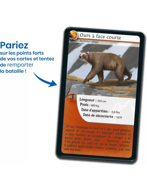 Défis Nature - Animaux : Animaux préhistoriques 