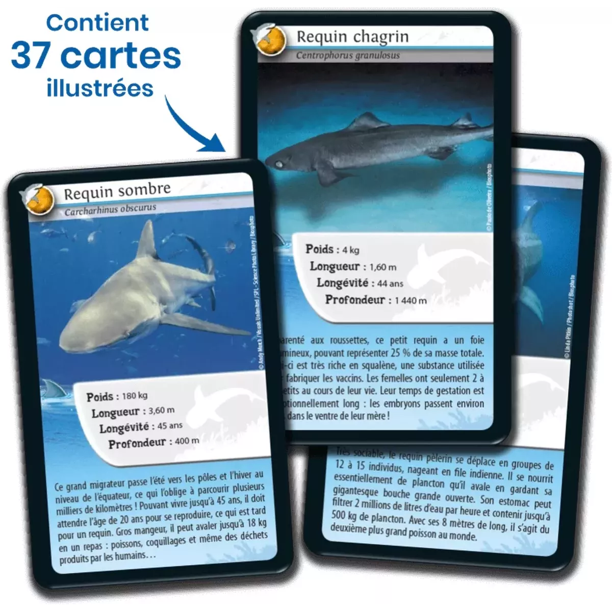 Défis Nature - Animaux : Requins
