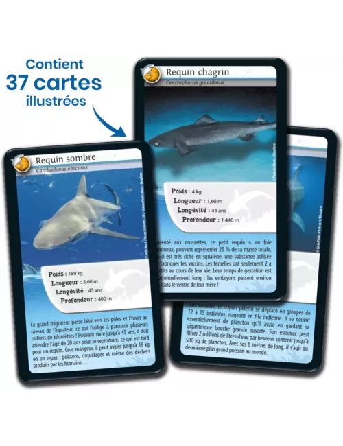 Défis Nature - Animaux : Requins