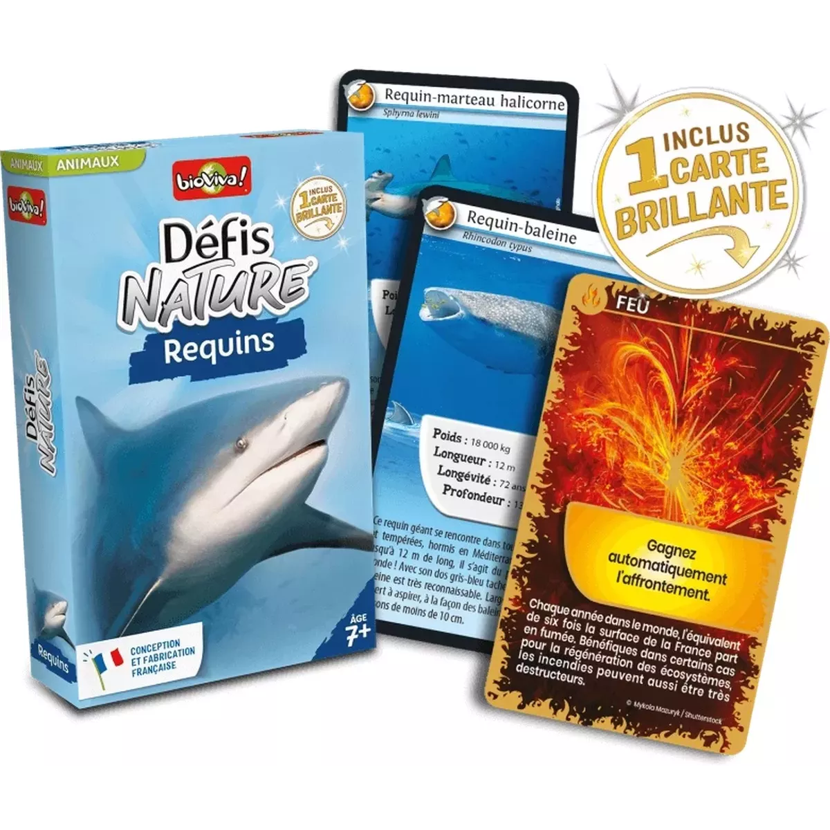 Défis Nature - Animaux : Requins
