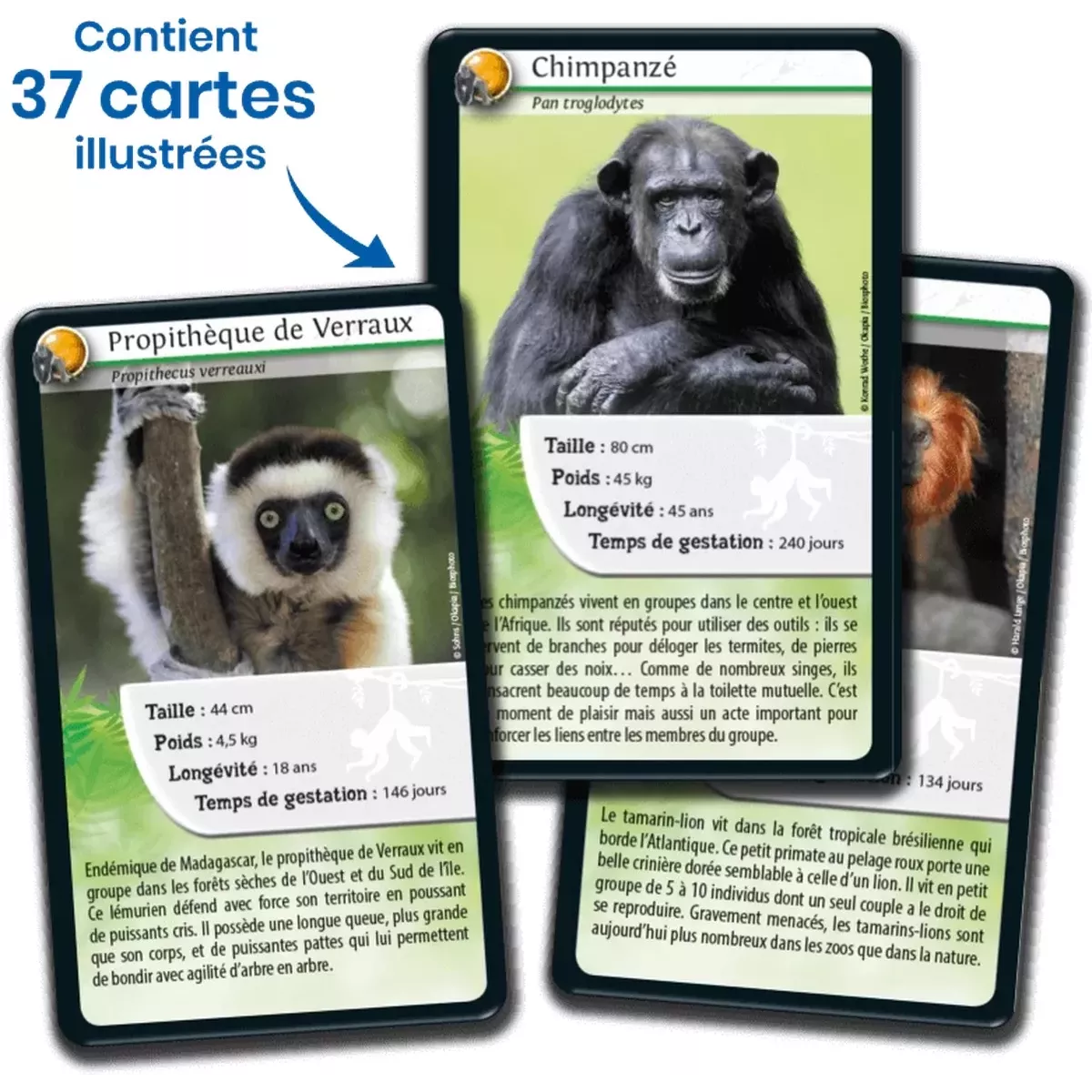 Défis Nature - Animaux : Singes et autres Primates