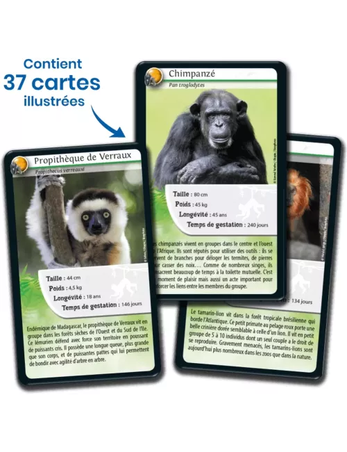 Défis Nature - Animaux : Singes et autres Primates