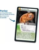 Défis Nature - Animaux : Singes et autres Primates