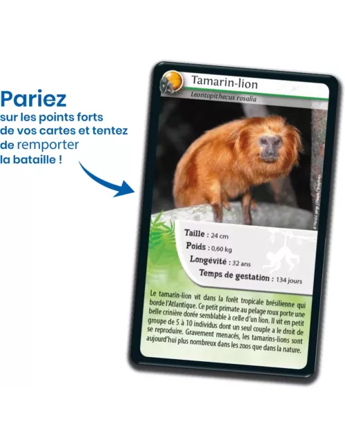Défis Nature - Animaux : Singes et autres Primates