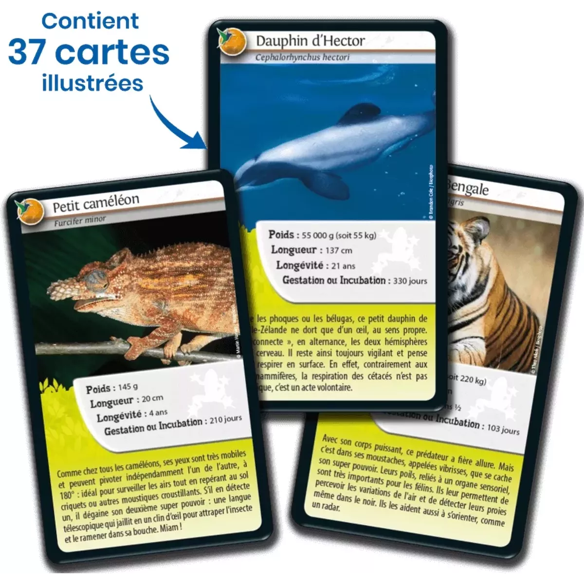 Défis Nature - Animaux : Super pouvoirs des Animaux
