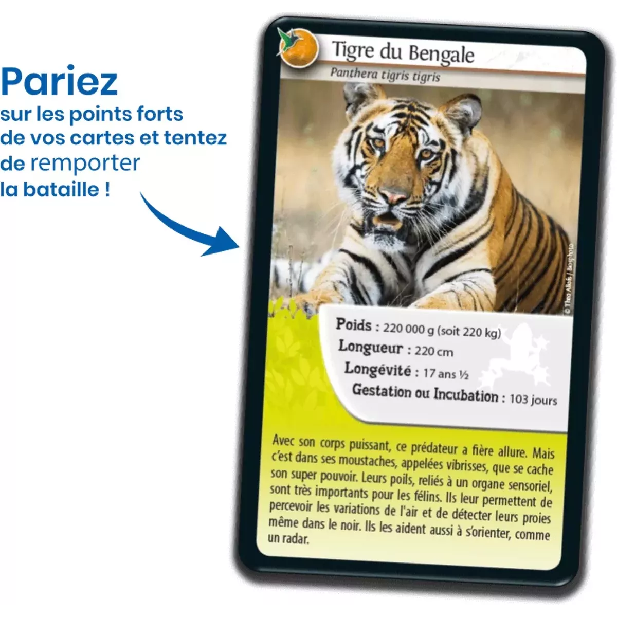 Défis Nature - Animaux : Super pouvoirs des Animaux