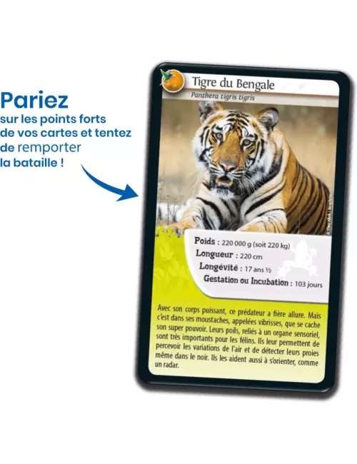 Défis Nature - Animaux : Super pouvoirs des Animaux