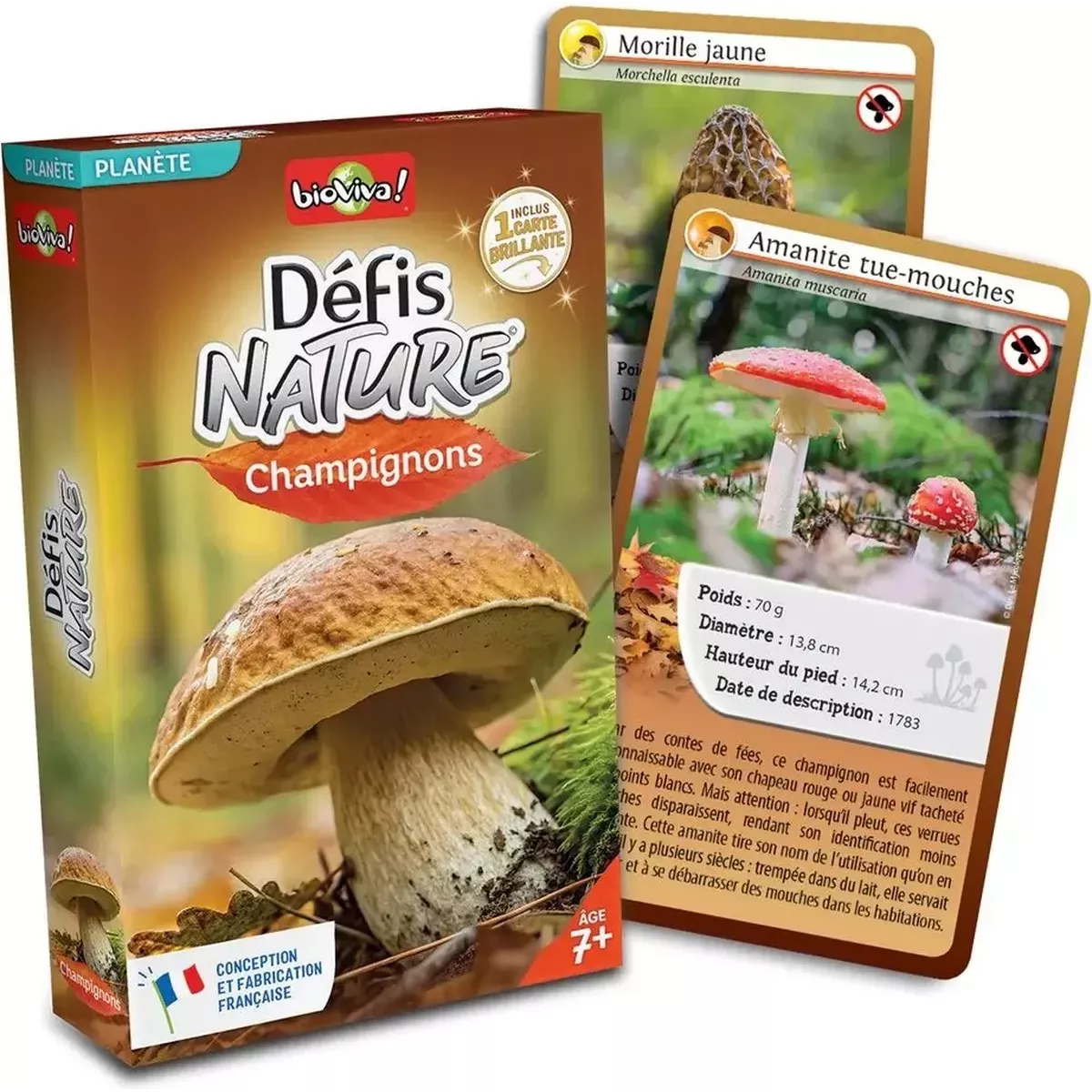 Défis Nature - Planète : Champignons