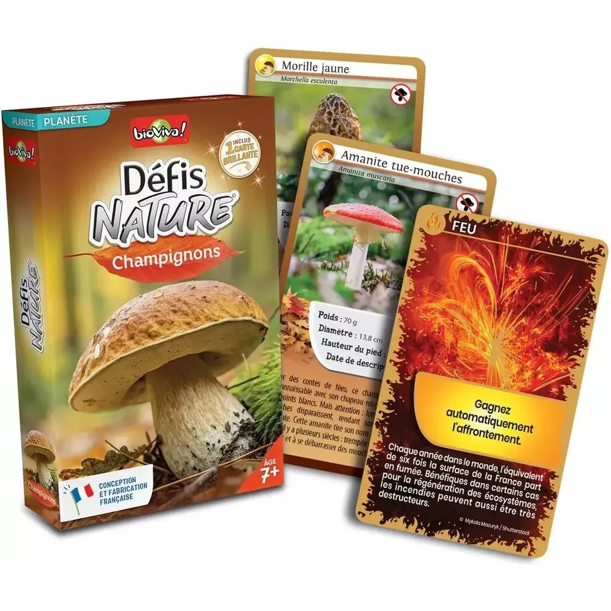 Défis Nature - Planète : Champignons
