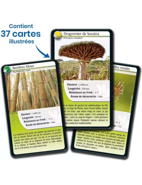 Défis Nature - Planète : Super pouvoirs des Plantes