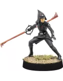 Star Wars : Légion - Fifth Brother & Seventh Sister​​​ (Reissue) - Extension Agent 
