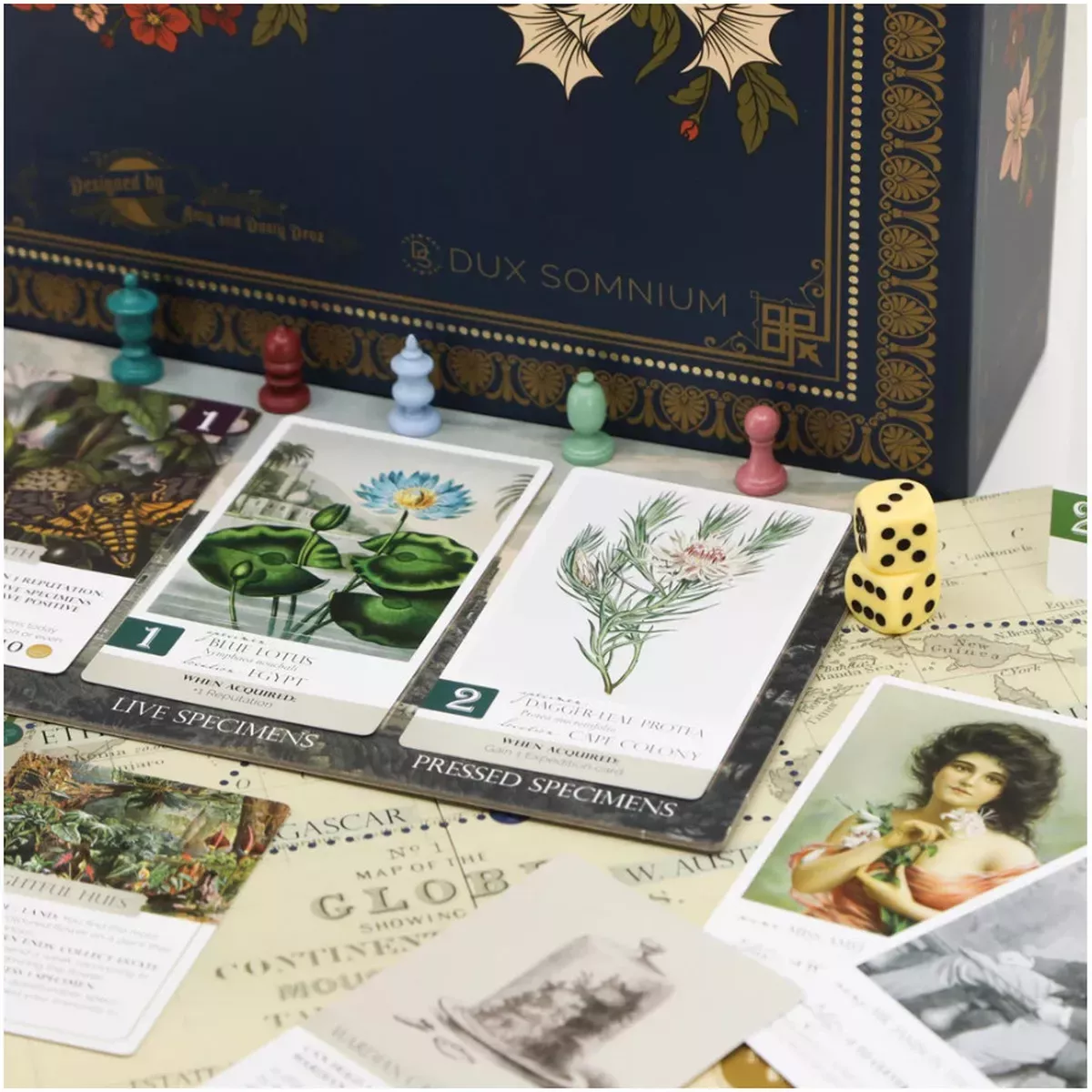 Botany - Version Anglaise