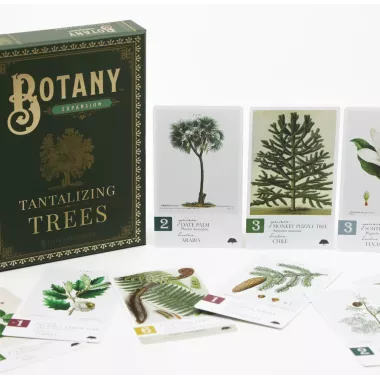 Botany : Tantalizing Trees - Extension - Version Anglaise