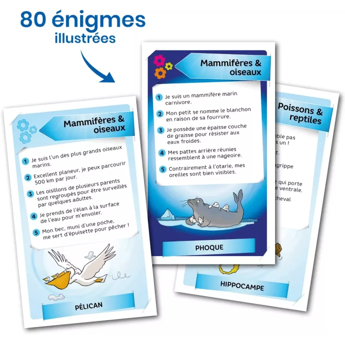 Enigmes : Monde marin
