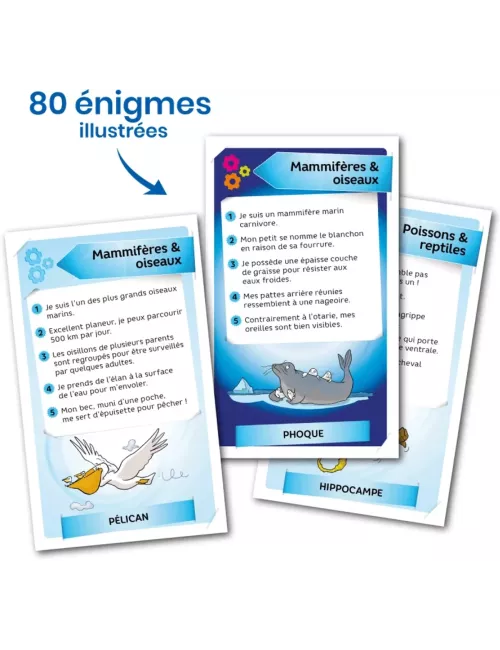 Enigmes : Monde marin