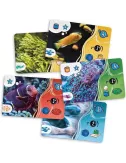 Aquaria cartes