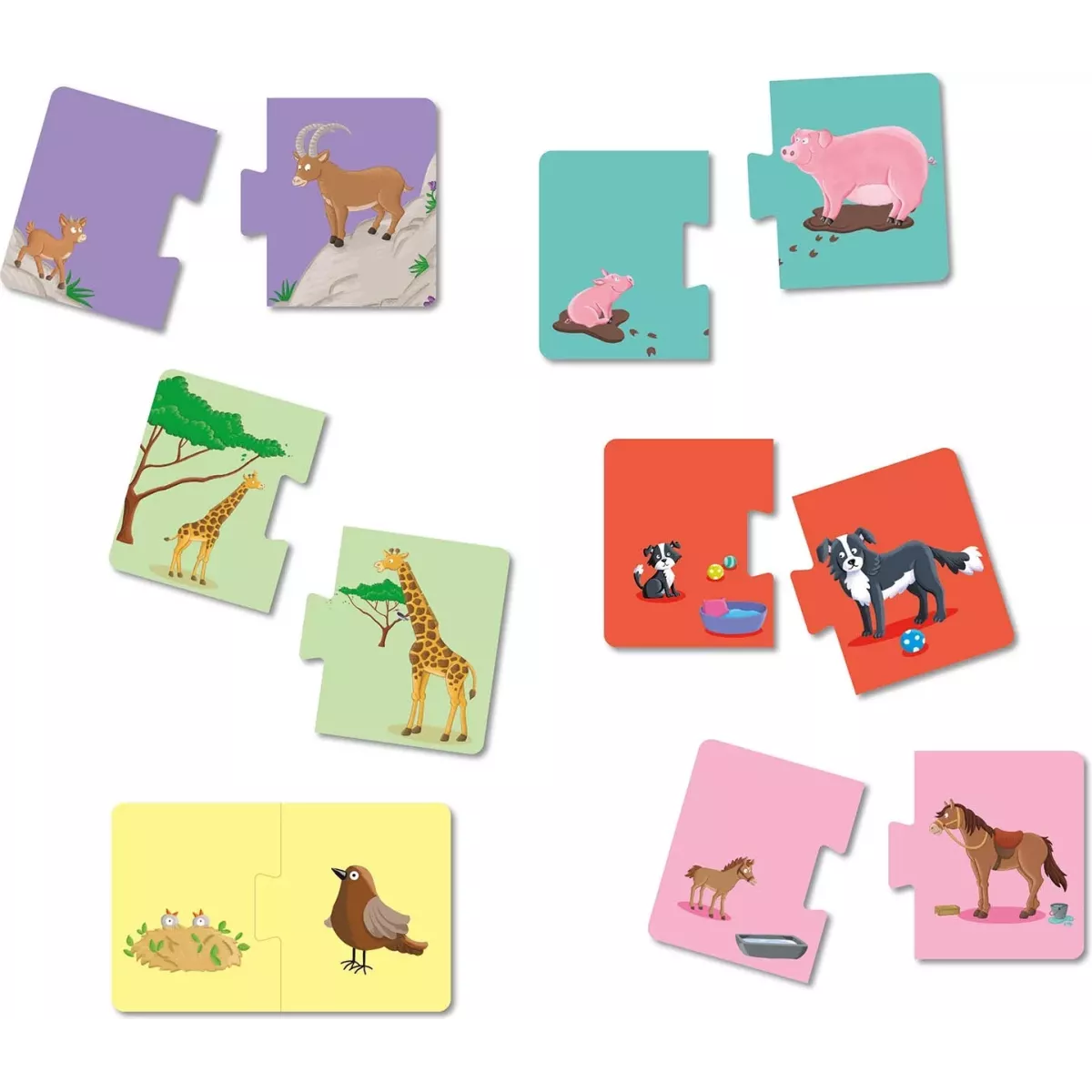 P'tit Loup - Les animaux et leurs Petits