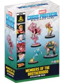 Marvel Crisis Protocol : Members of the Brotherhood - Affiliation Pack 