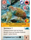 Ark Nova : Mondes Marins - Extension - Jeux de société - Ludum.fr