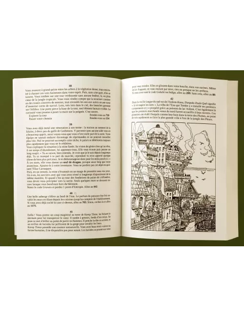 Fabled Lands - Tome 7 : Le Territoire du Roi-Serpent 