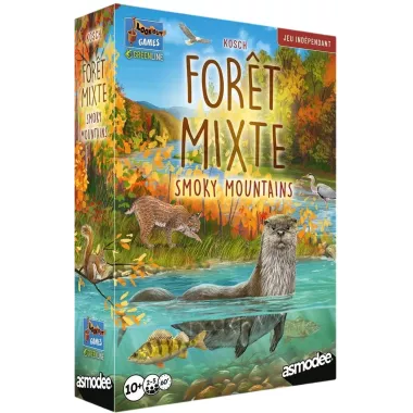 Forêt Mixte Smoky Mountains
