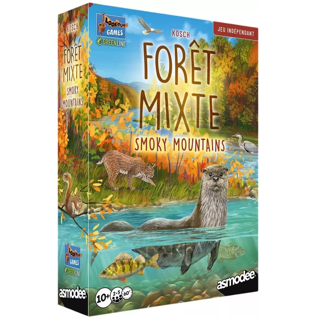 Forêt Mixte Smoky Mountains