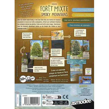 Forêt Mixte Smoky Mountains