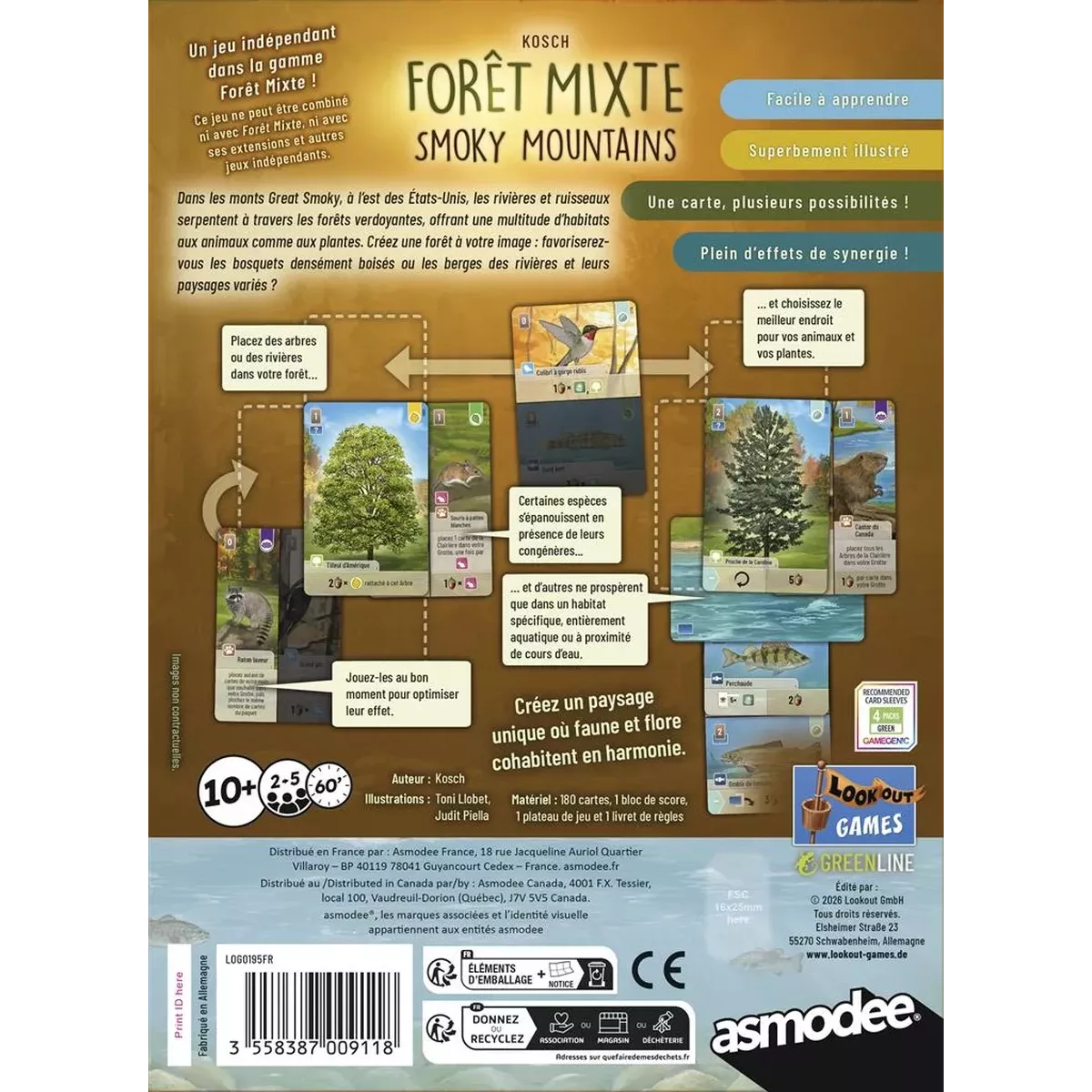 Forêt Mixte Smoky Mountains