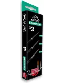 Pinceaux : Set Essentiel Démarrage - CPE2 