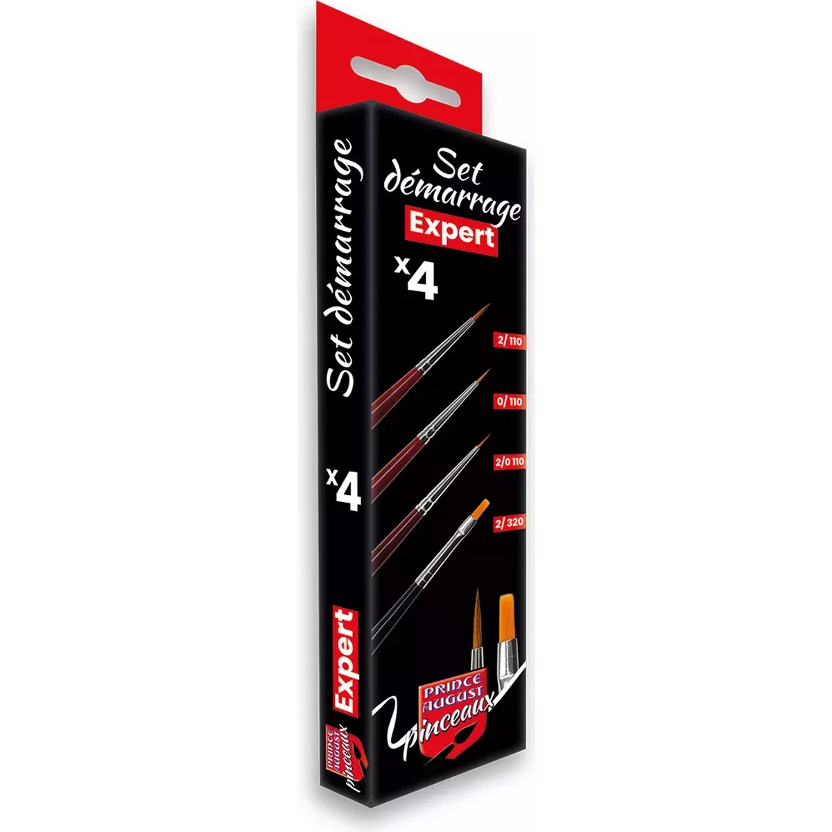 Pinceaux : Set Expert Démarrage - CPX1 