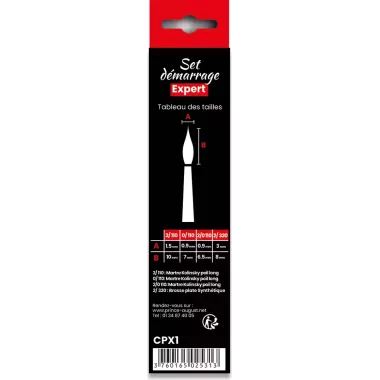 Pinceaux : Set Expert Démarrage - CPX1 