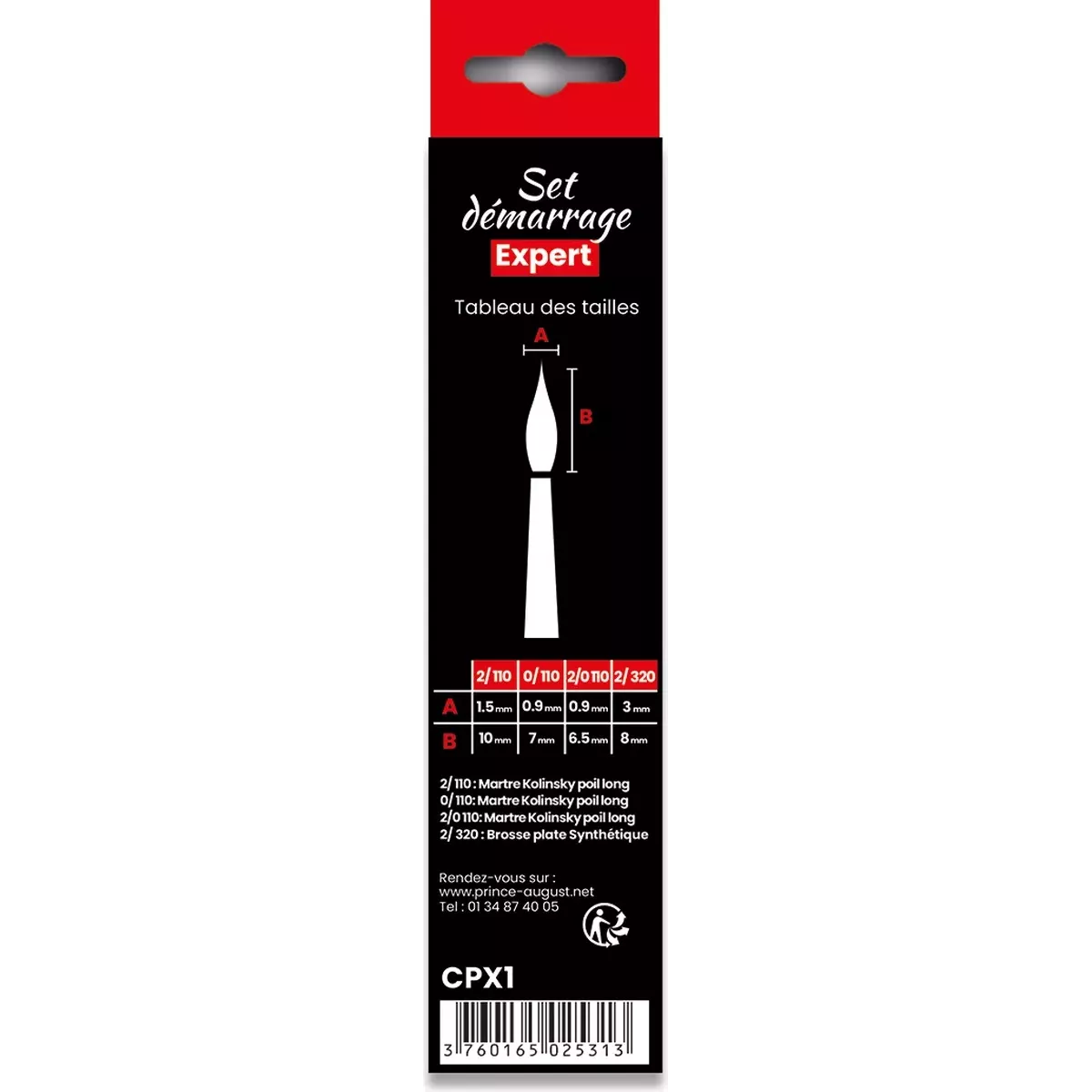 Pinceaux : Set Expert Démarrage - CPX1 