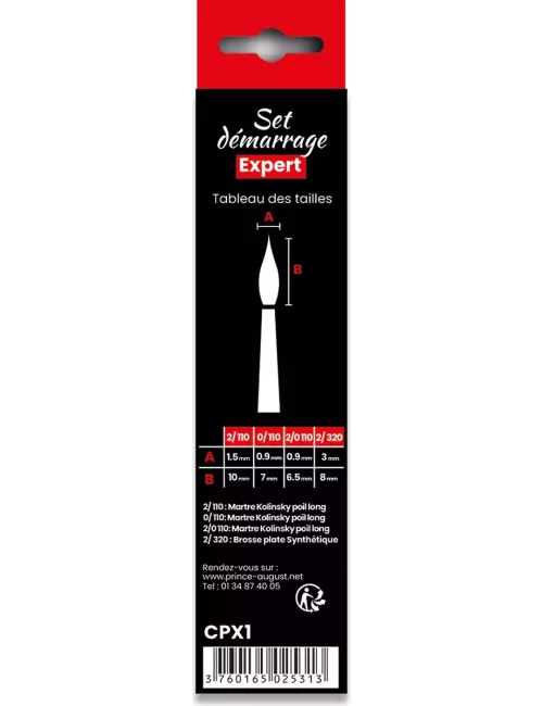 Pinceaux : Set Expert Démarrage - CPX1 