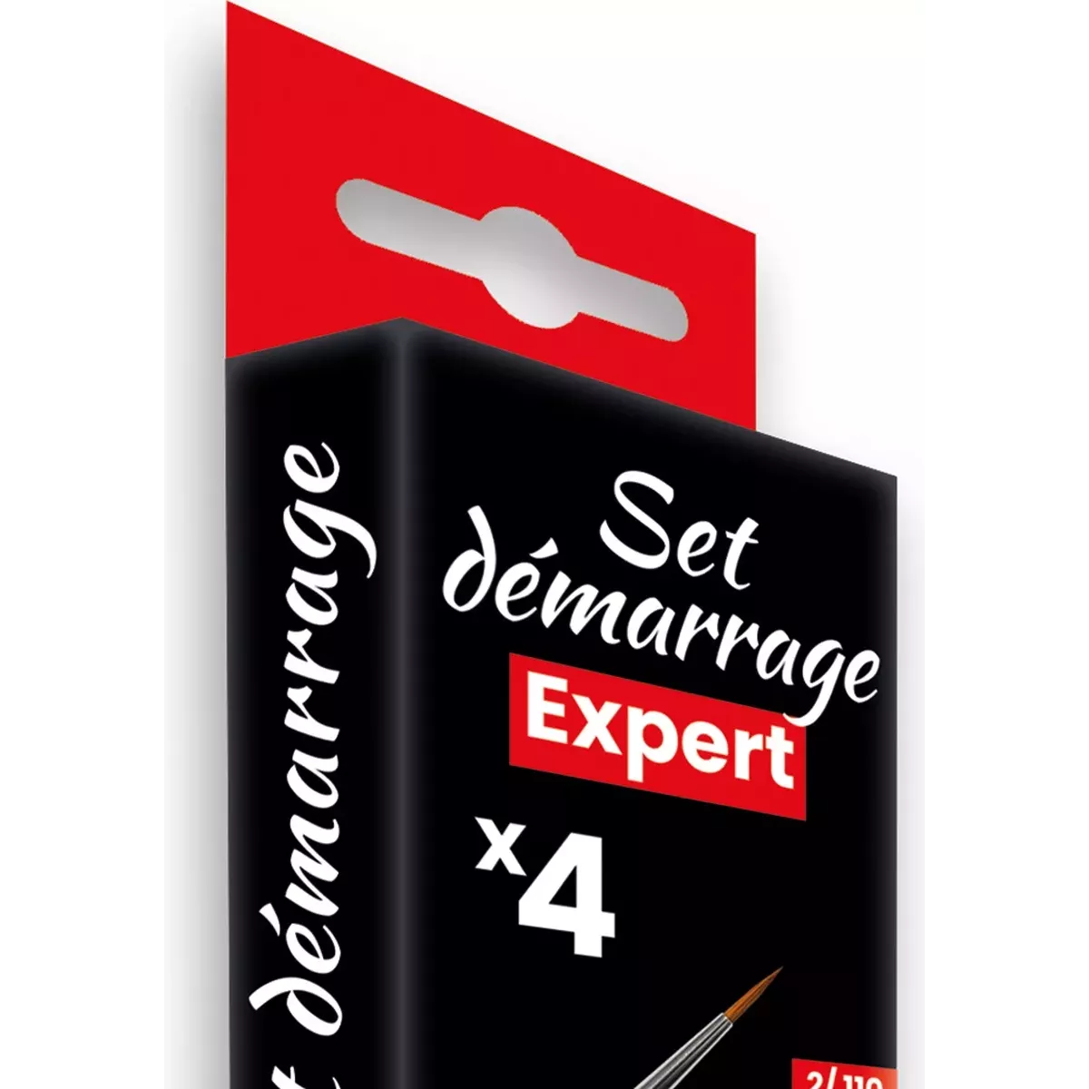 Pinceaux : Set Expert Démarrage - CPX1 