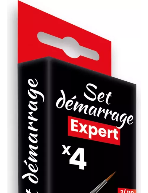 Pinceaux : Set Expert Démarrage - CPX1 