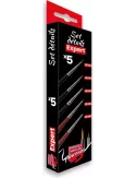 Pinceaux : Set Expert Démarrage - CPX2 