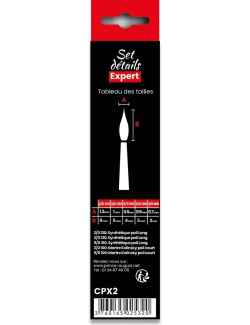 Pinceaux : Set Expert Démarrage - CPX2 