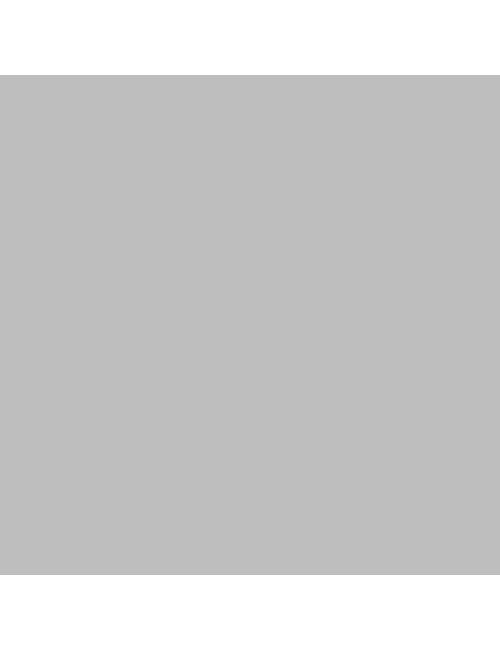 Squidmar Color Metallic - Peinture