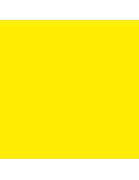 Squidmar Color Fluo - Peinture