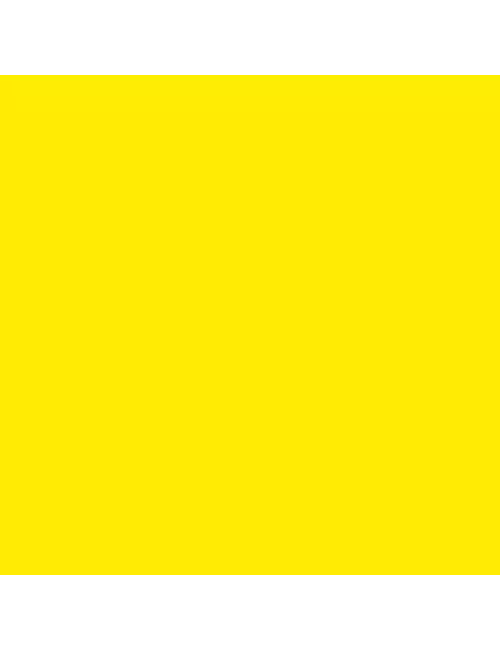 Squidmar Color Fluo - Peinture
