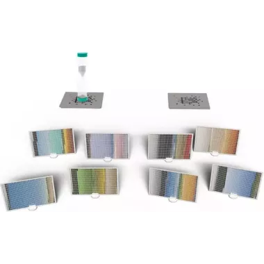 Pixels